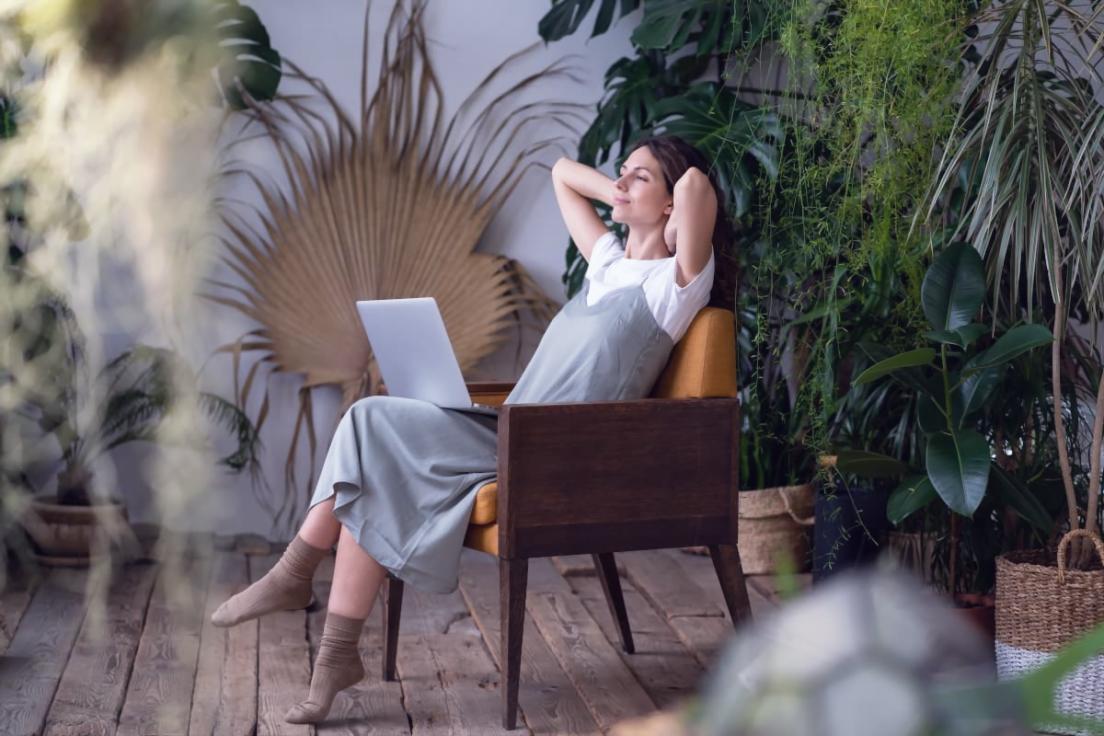 Interaktive Lernumgebung